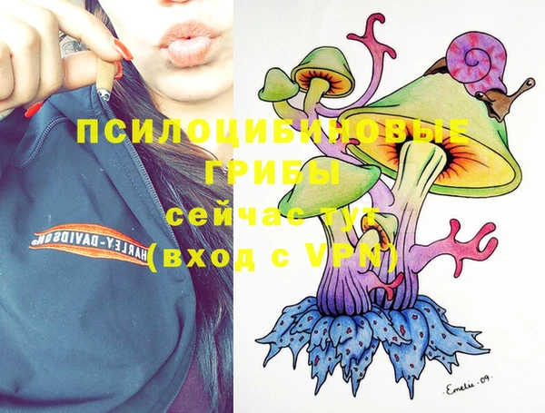 2c-b Нязепетровск