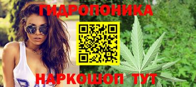 spice Коммунар