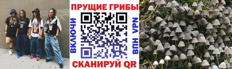 наркотики  MEGA зеркало  Псилоцибиновые грибы ЛСД  Рыбинск 