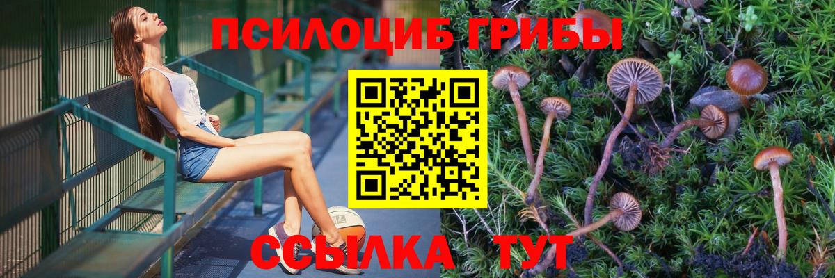Галлюциногенные грибы прущие грибы Рыбинск